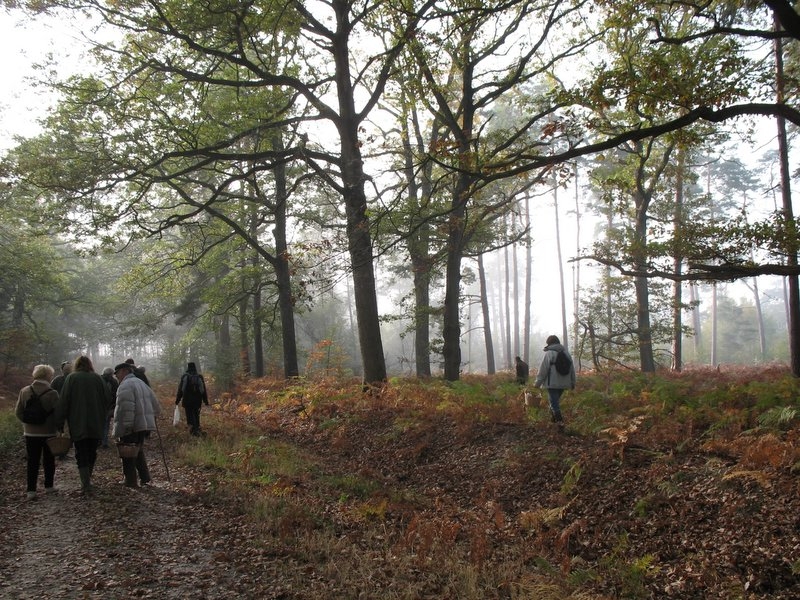 2006 11 Mycobocquet 13